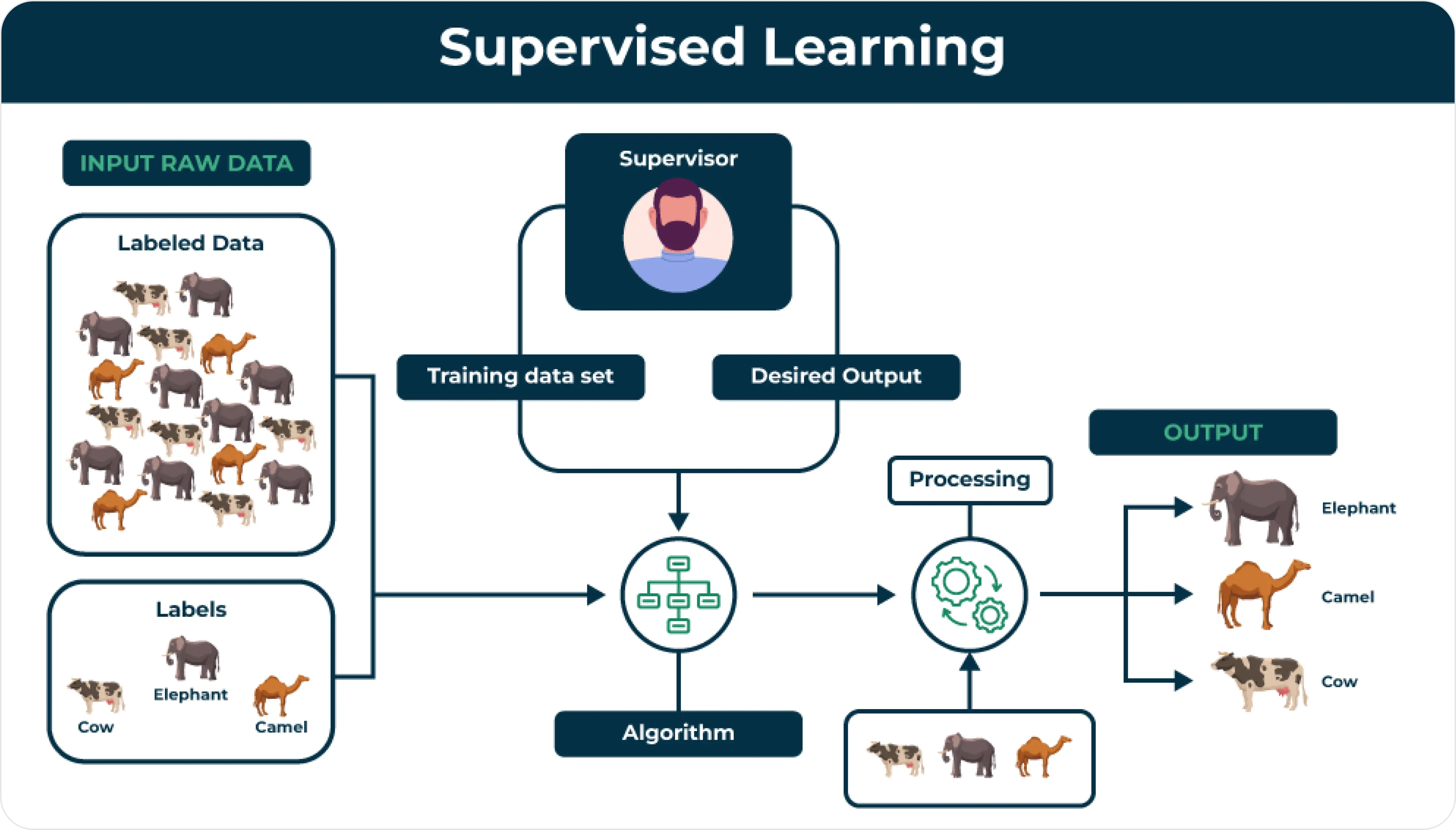 Supervised Learning: Training with labeled examples